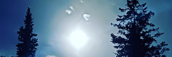 WickedDolphin Profile Banner