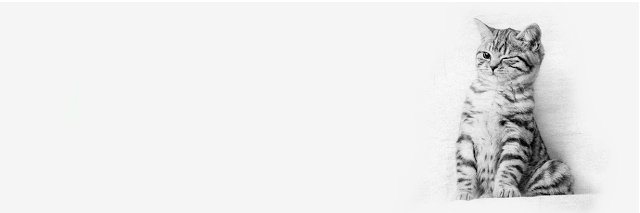 _Daaayh's profile banner image