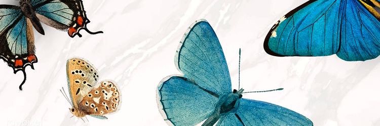 chloearmstrong_'s profile banner image