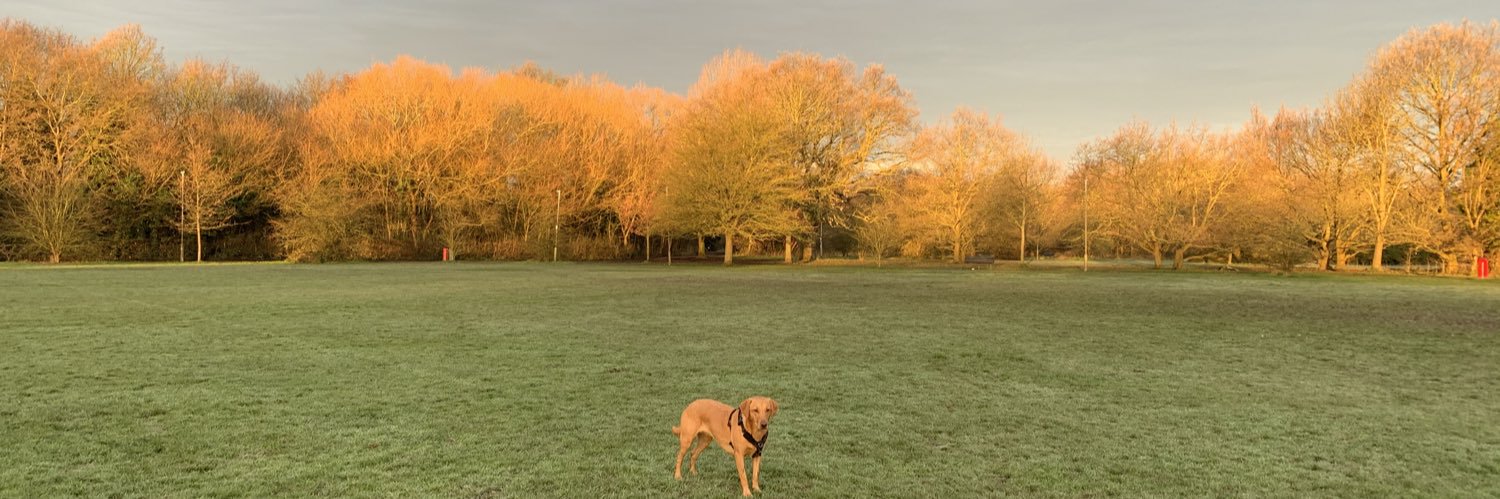 Sasha Brendon 💙 banner