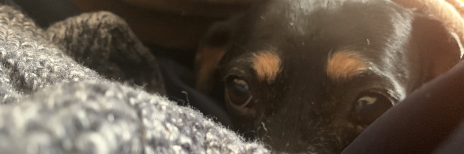 IamCandidcone's profile banner image