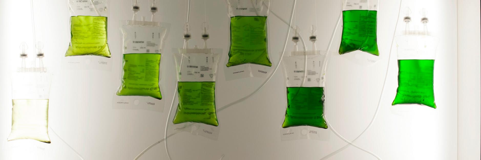 BioArt Laboratories banner