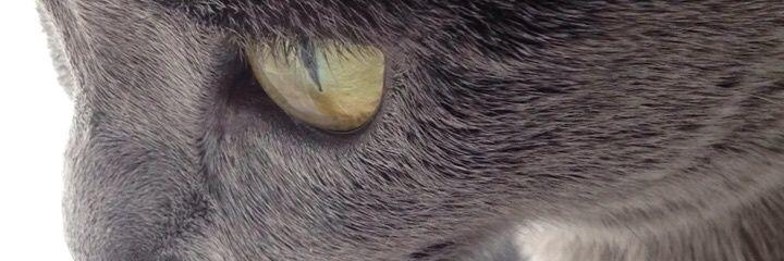 jframosgu's profile banner image