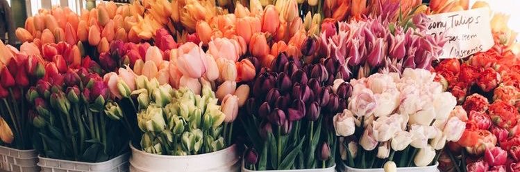 anniebeth97's profile banner image