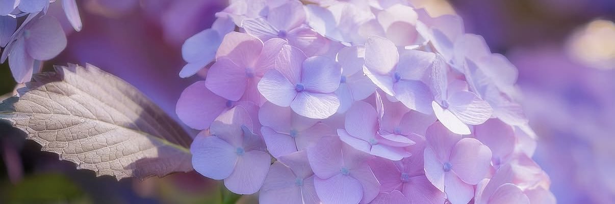 Junpeirc57's profile banner image