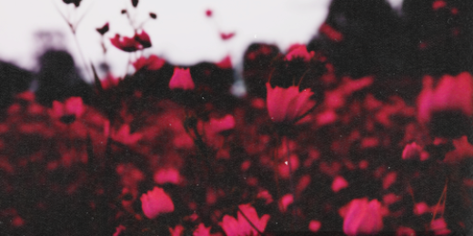 _Miss_Suunshine's profile banner image