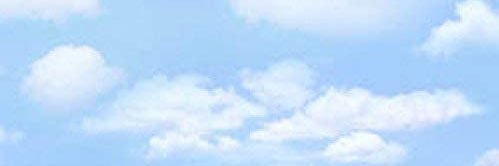 rootintootinBP's profile banner image