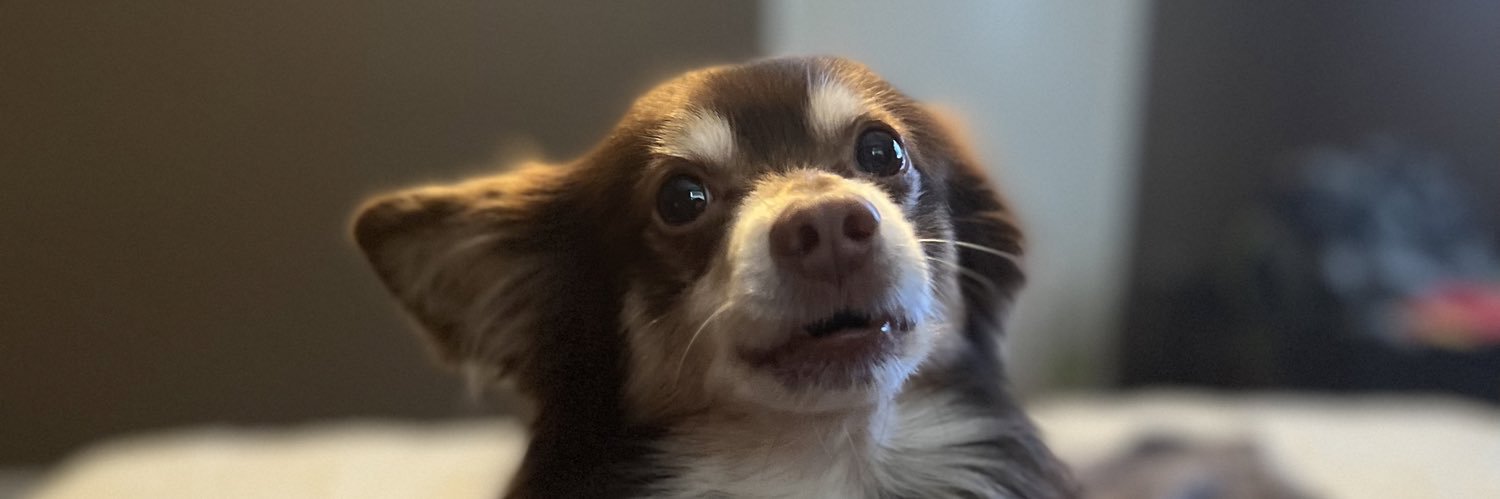 StephanieHarve8's profile banner image