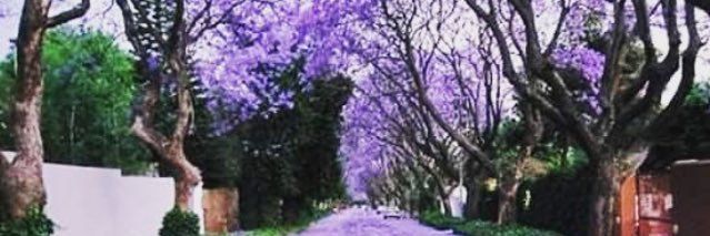 lynder_M's profile banner image