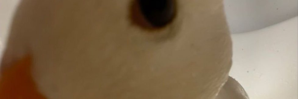 d_cal18's profile banner image