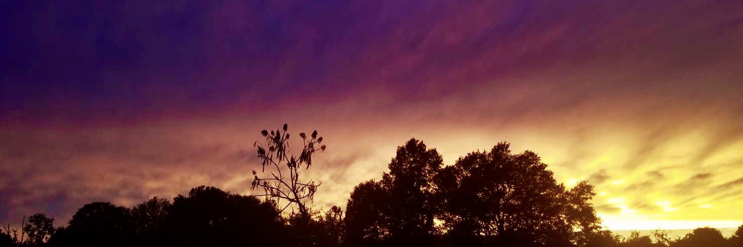 Ty_Cole_'s profile banner image