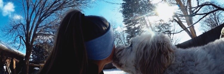 alli_oshea's profile banner image