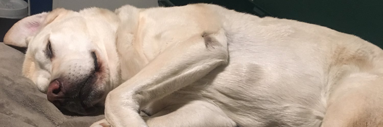 BrandonLegendre's profile banner image