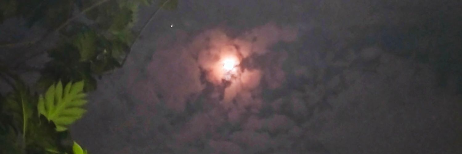 PurrieKyu324's profile banner image