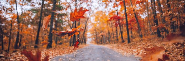 dadamssg Profile Banner