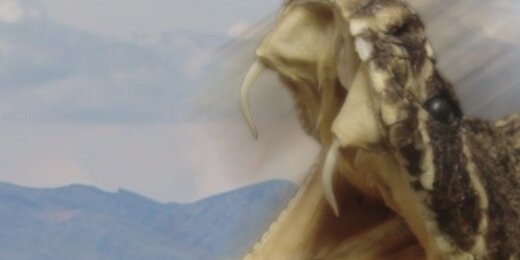 BeatsBySosa's profile banner image