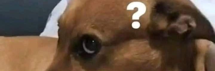 ansyedade's profile banner image