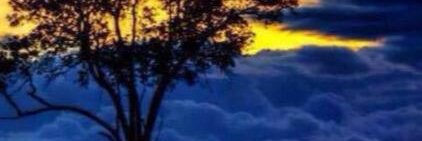 macrist_4's profile banner image
