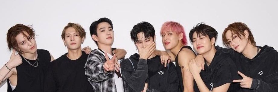 AquaLavy's profile banner image