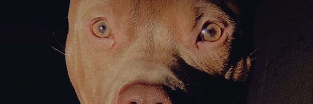 CocoLoSoooo's profile banner image