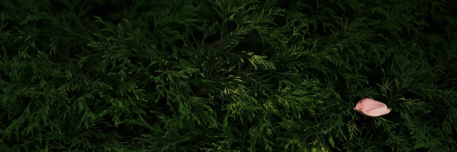 Cold_St6's profile banner image