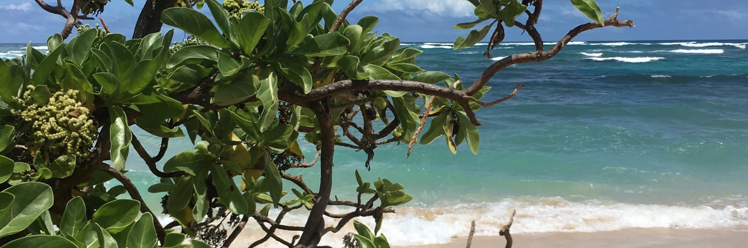 stonneeee's profile banner image