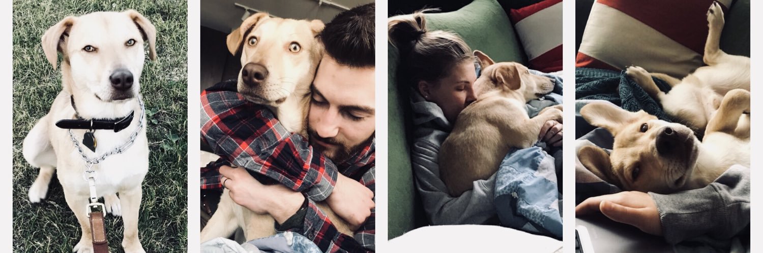 kaitysaxon's profile banner image