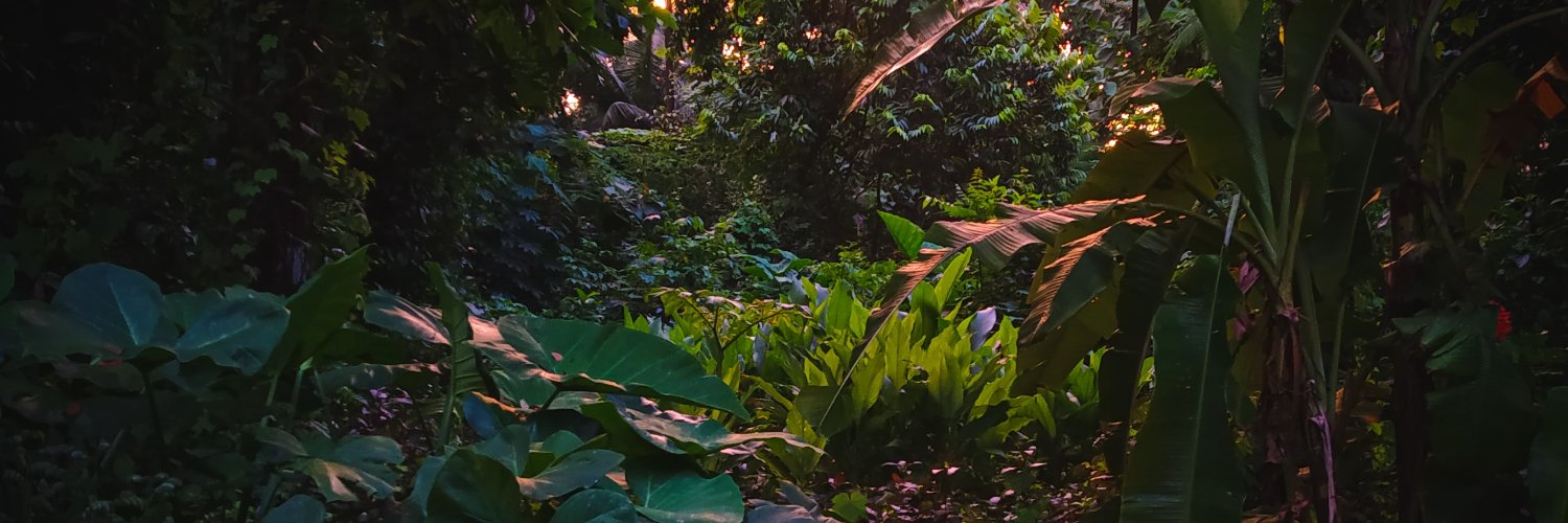 Mars the peacemaker banner