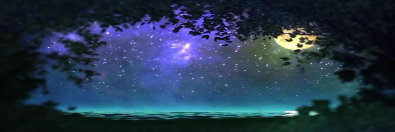 nonabona's profile banner image