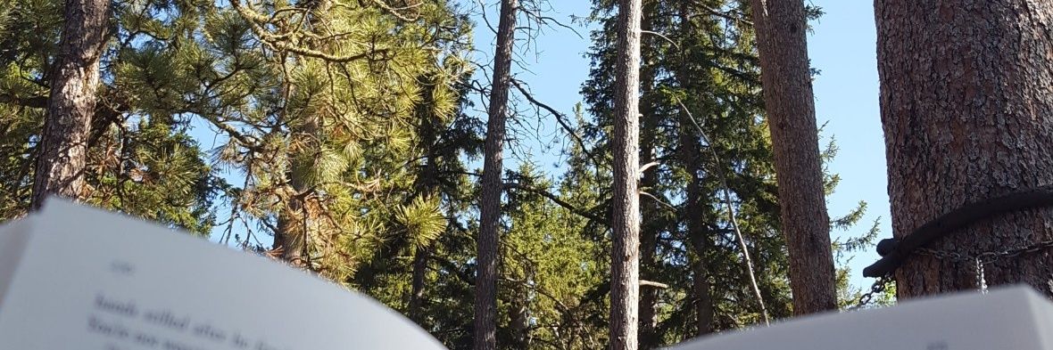 MeganFilzen's profile banner image