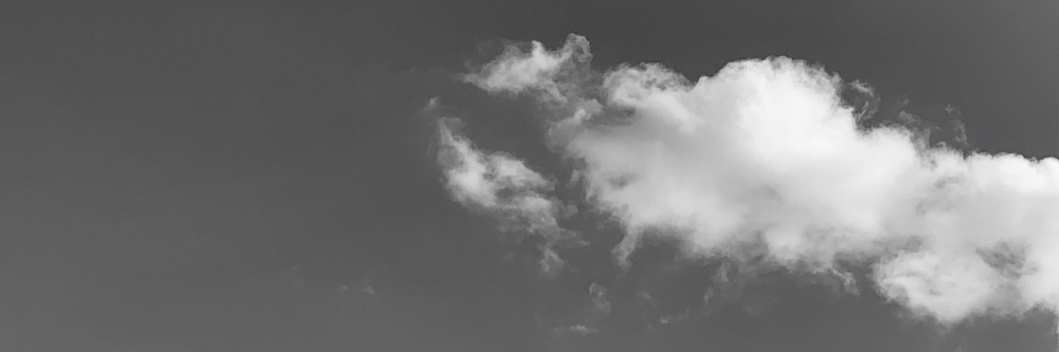 emu_kitty's profile banner image