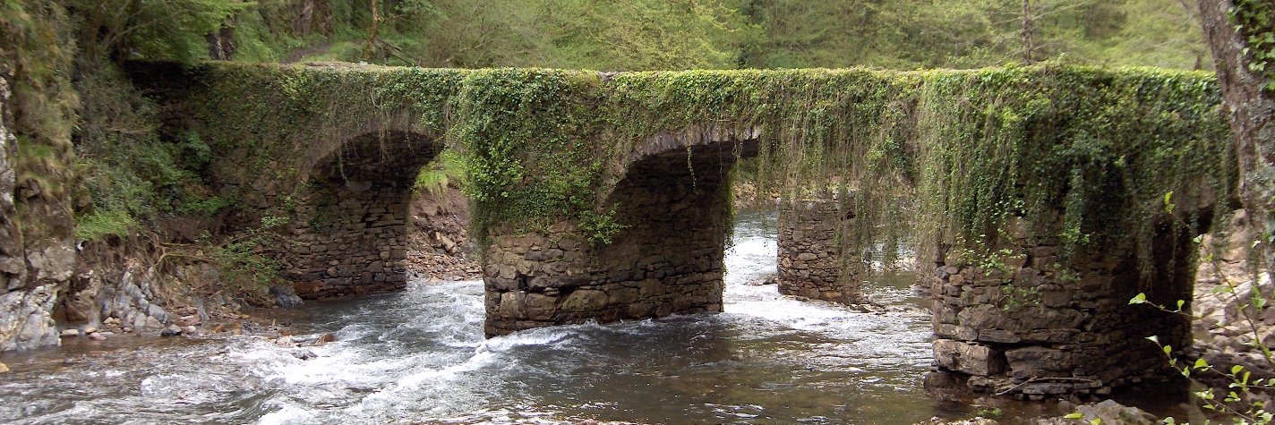 leitzaran.net - xabier cabezón banner