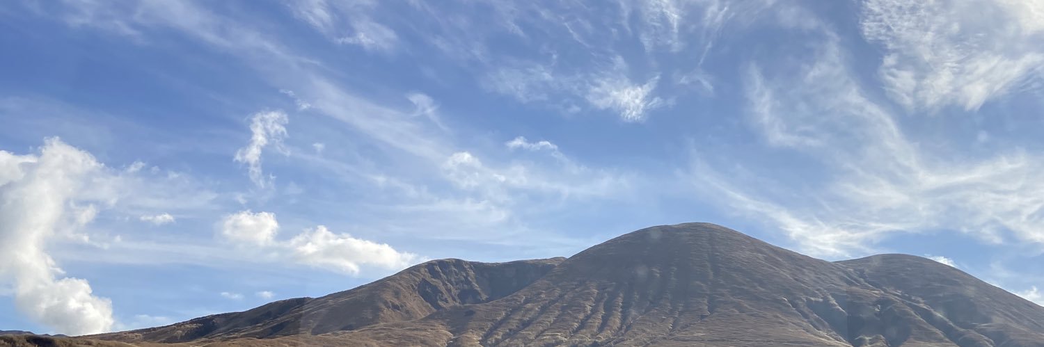 lynnyellowow's profile banner image