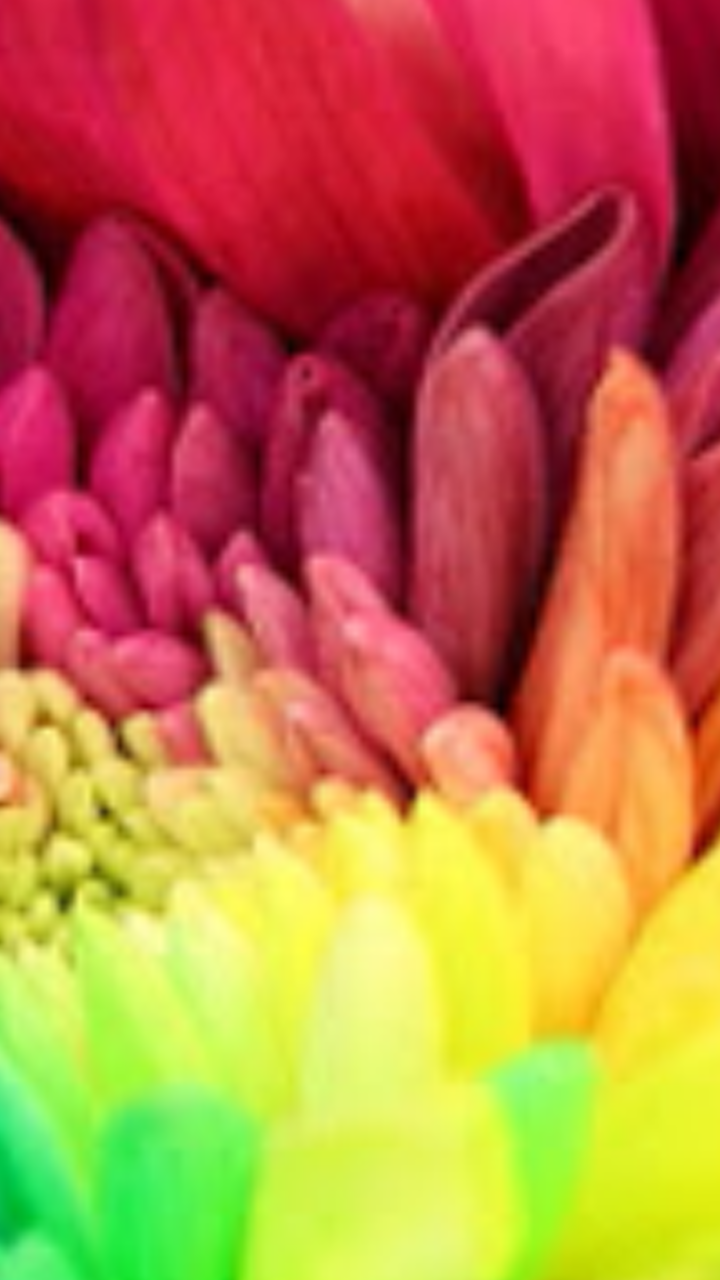 aiswidi's profile banner image