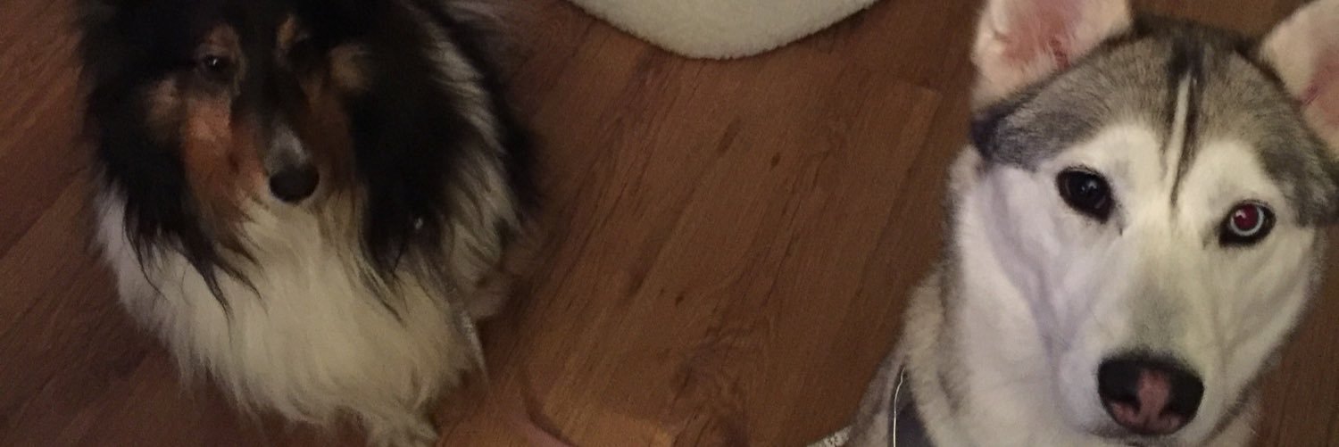 myarcher54's profile banner image
