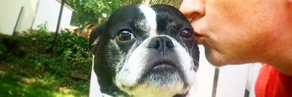 ScaredOfBees Profile Banner