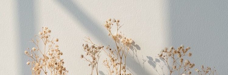 mntanner's profile banner image