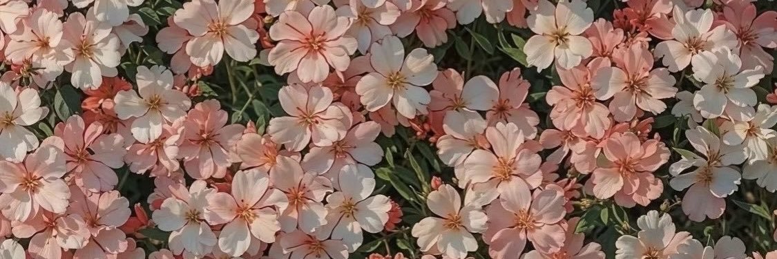 taylor_1016's profile banner image
