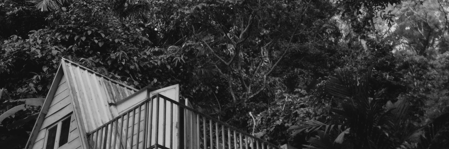 xfal__'s profile banner image