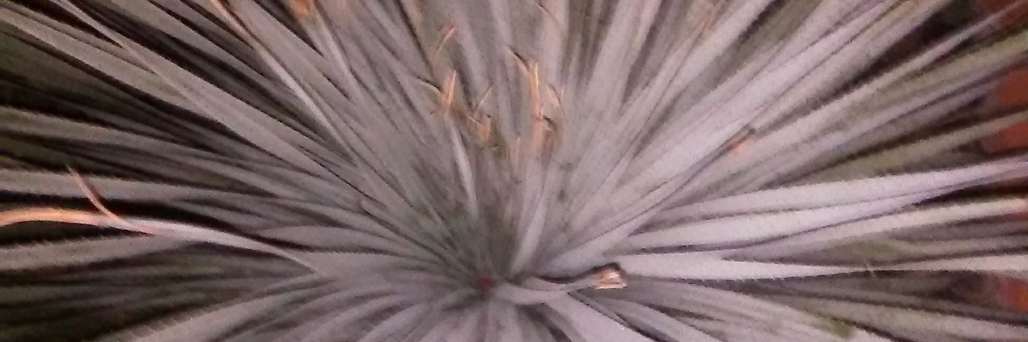 augustineujude's profile banner image
