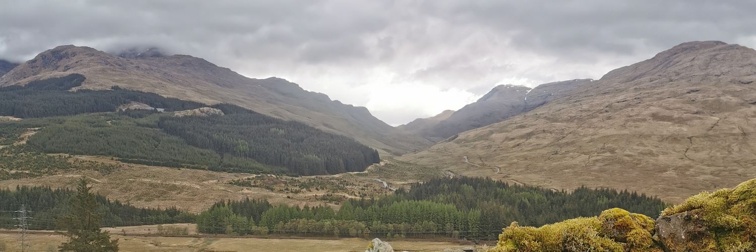 FeedingLewis's profile banner image