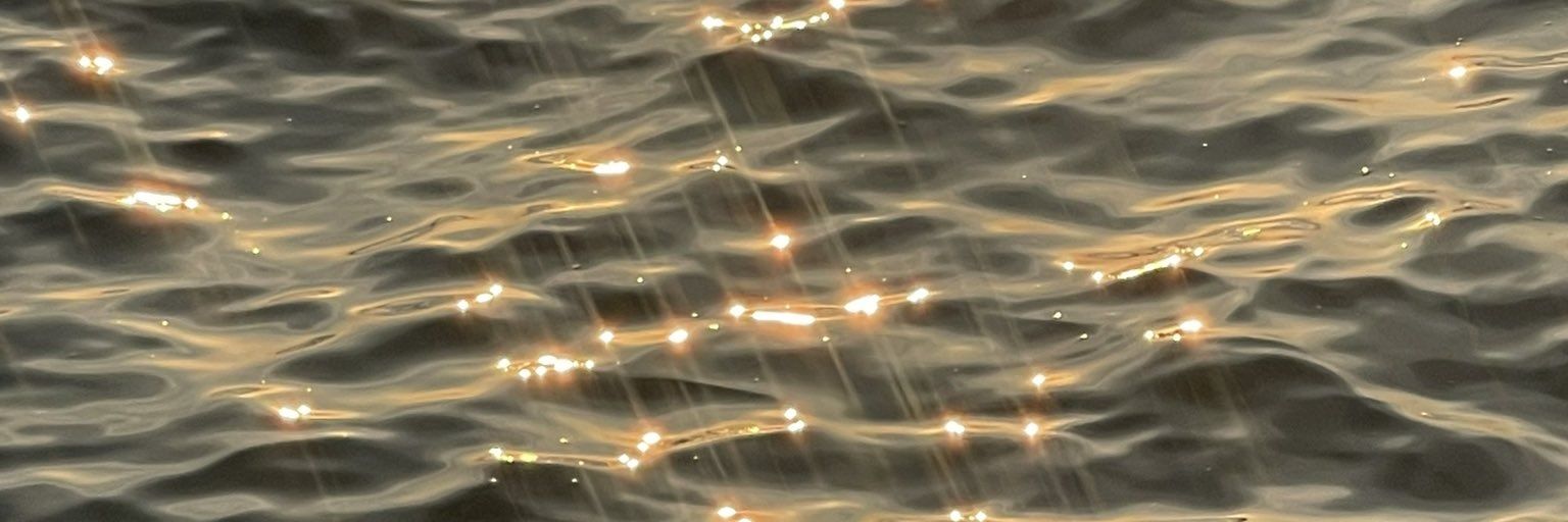 babe_bear🐻 banner