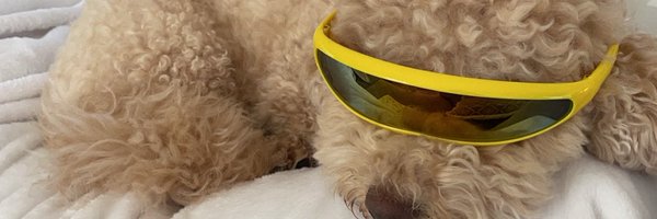 SAMCHAMS Profile Banner