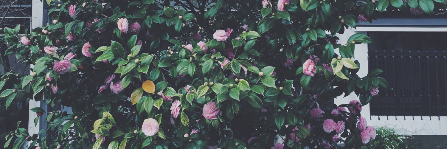 _____soupir's profile banner image