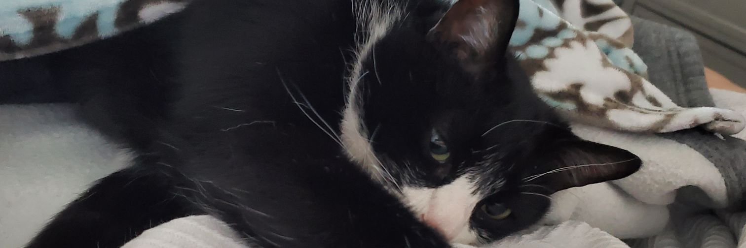 mandyg's profile banner image