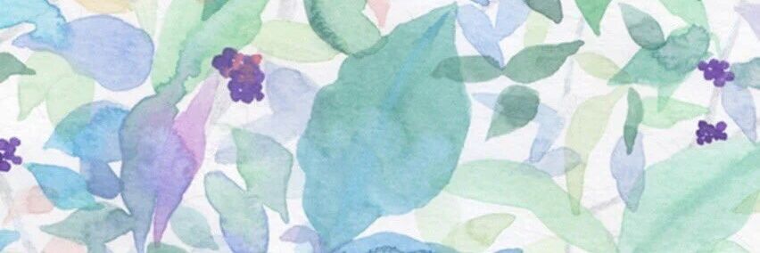 asterinass's profile banner image