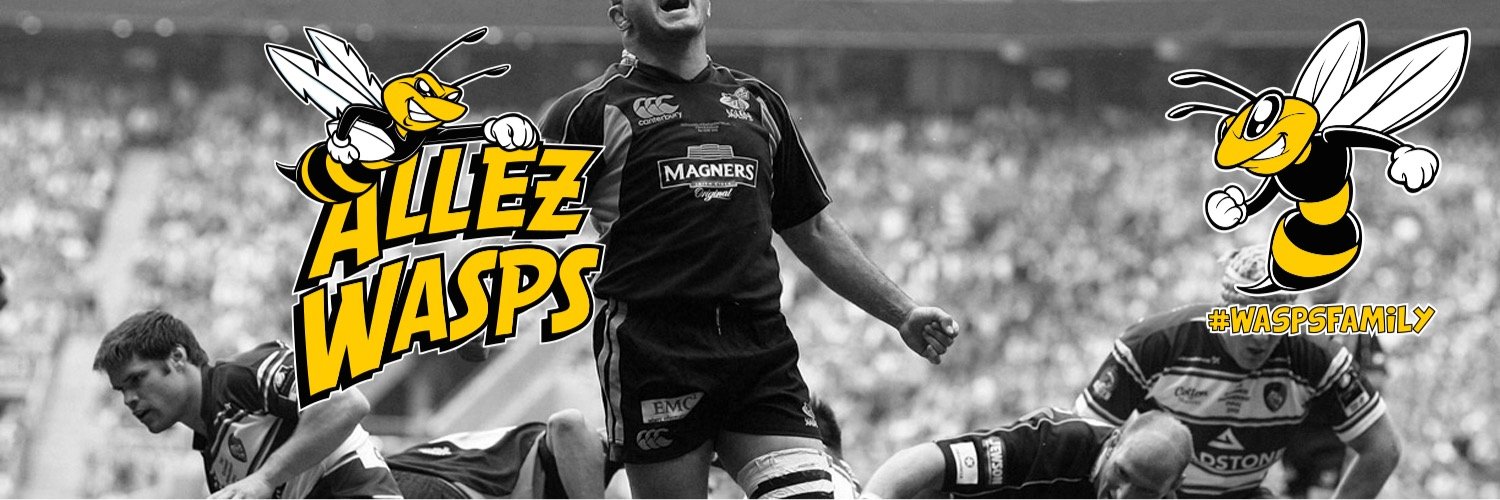 Allez Wasps banner