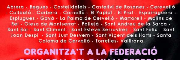 CGTBaixLlob Profile Banner