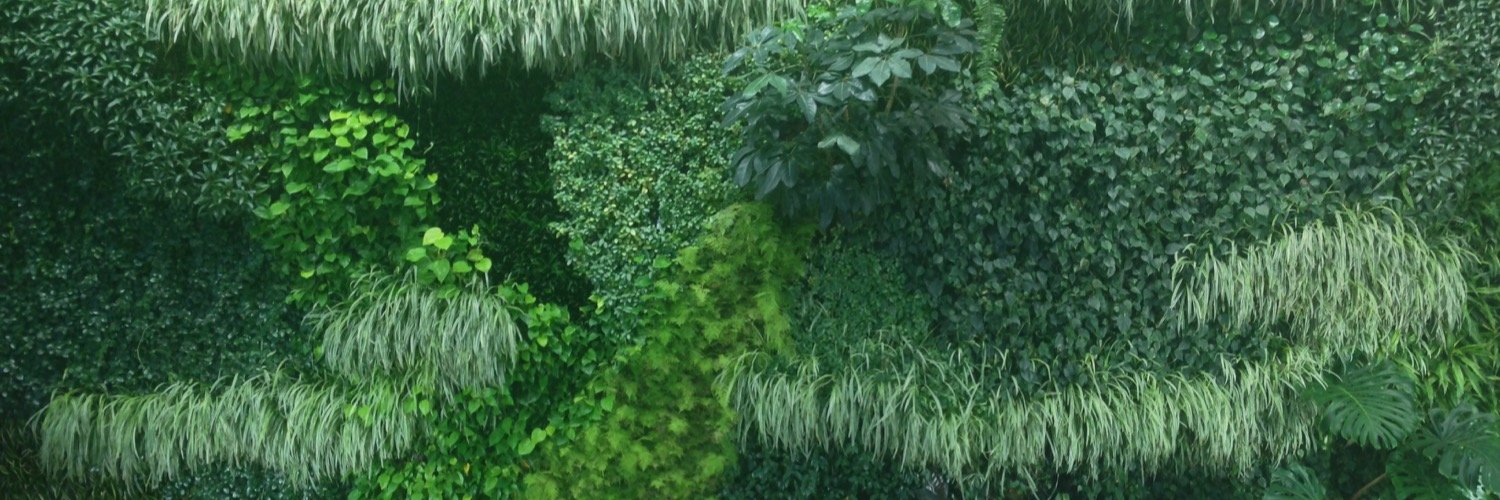 grinbucket's profile banner image