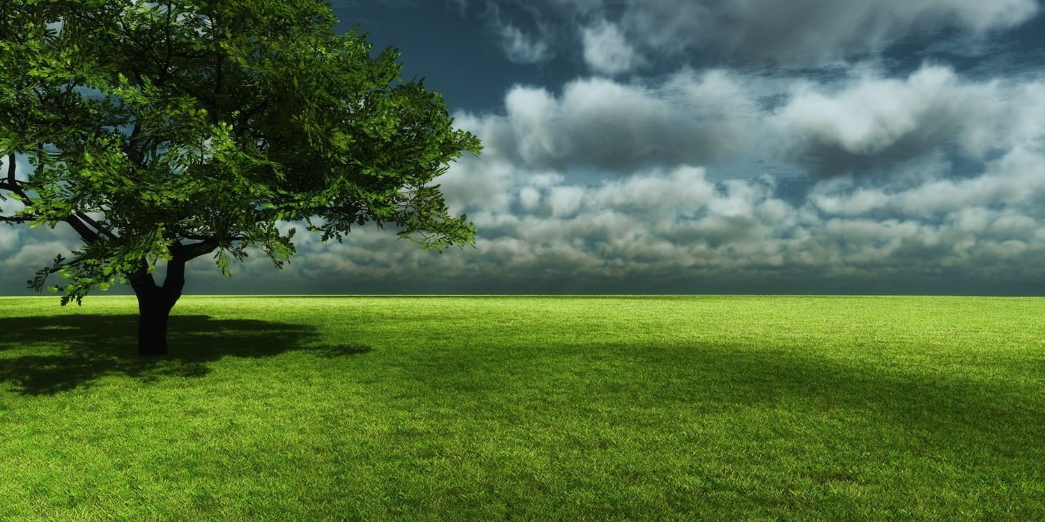 Md. Najeeb Hussain banner